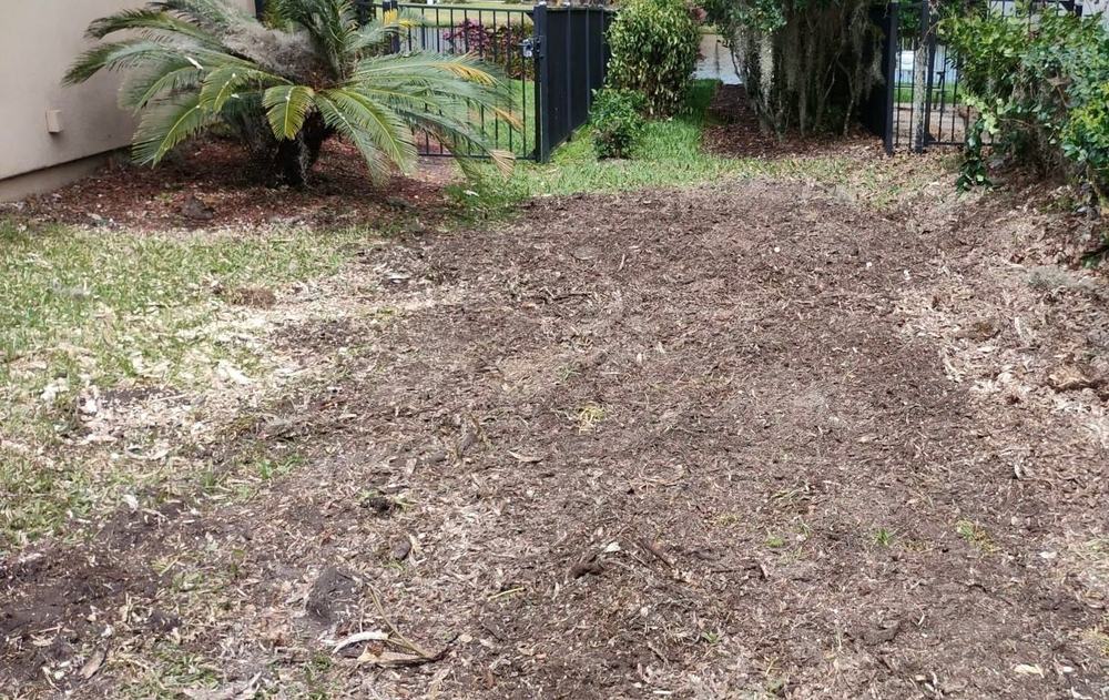 After: Stump Grinding